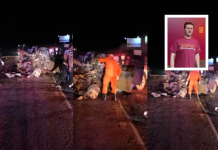 Tragédia na BR-364: agrônomo morre em acidente envolvendo carreta no oeste de Mato Grosso