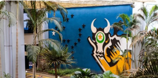 Governo de MT lança o programa “Mato Grosso em Defesa das Mulheres” com pacto entre os poderes