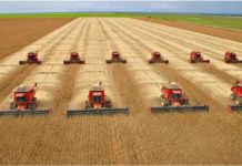 MATO GROSSO – Estado lidera geração de empregos no país com força total do agronegócio