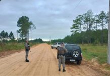 Terror no Araguaia: Atirador Misterioso Provoca Pânico em Fazenda de Ribeirão Cascalheira