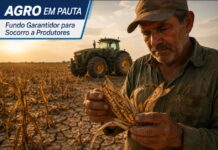 Agro em Pauta: Governo Federal sinaliza criação de Fundo Garantidor para socorrer produtores endividados
